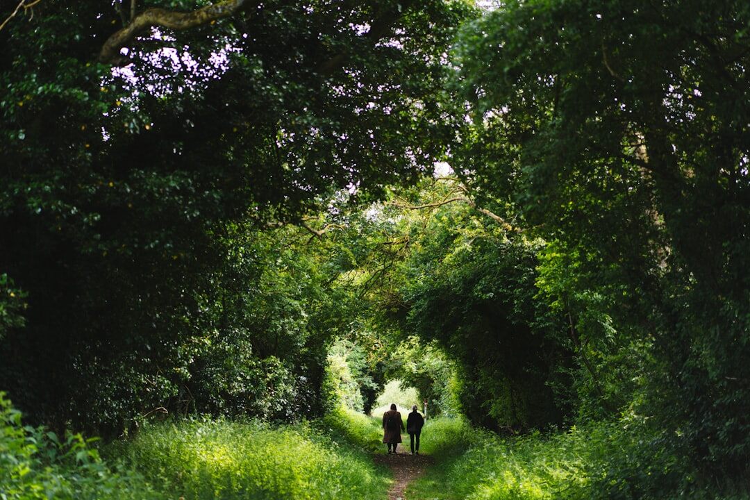 person walking in nature